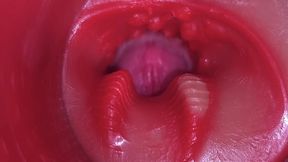 Super Cum in Vagina. Excellent Internal Camera