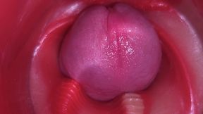 Super Cum in Vagina. Excellent Internal Camera