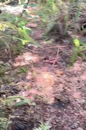 Always Makes Me Horny Walking in Abandoned Places and Jerk off Jona Ortiz Ortizjona