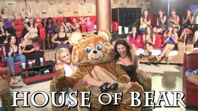 Db7308 scene with spicy sweetheart from Dancing Bear