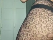 HORNY ASS TRANY