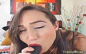 Oozing honey shemale babe sucked her vibrator and jerke