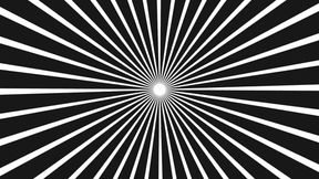 Sensory Hijacking - the World Reframed Through Cock (interactive)