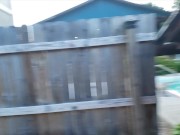 Bear gets pissed on by BBC
