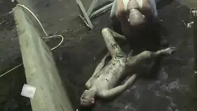 Farm Animal Treatment