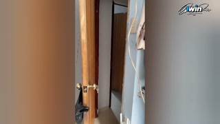 PERVERT GREEN OLD MAN FUCKS HIS BUSTY AND BIG ASS EMPLOYEE, REAL HOMEMADE.