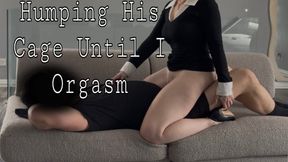 Humping His Cage Until I Orgasm