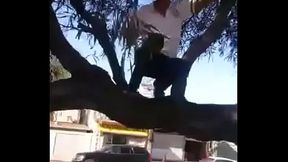 Rescatando el Bal&oacute_n