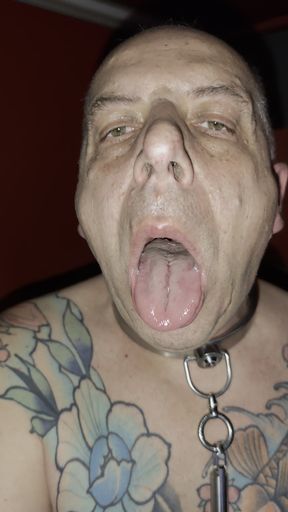 After the gloryhole fun swallowing the<br />
sls-frank