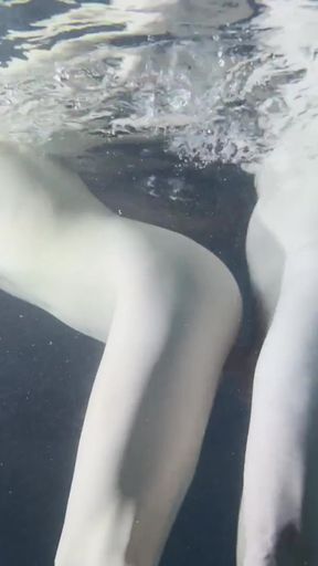 Must-see moment from "Real Couple - real fun in the pool"