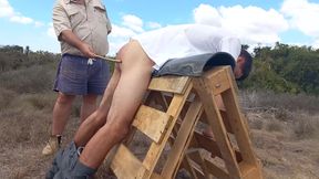 Spanking Stories 391
