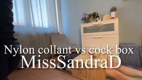 Nylon collant vs cock box ita