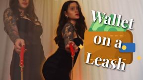 Wallet On A Leash