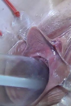 10 Far Spread Pussy Close up Fucking with Lamp 1000 Watt