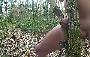 in het bos
