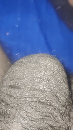 My Penis Got Erect After Seeing the Pussy