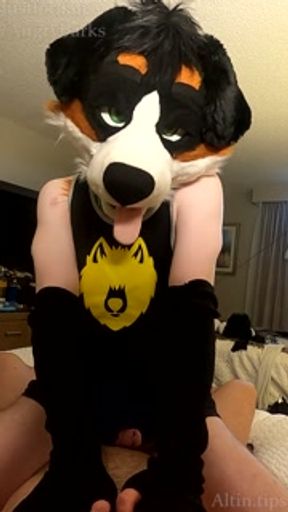Fucking the Furry until he cums hands-free