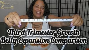 Third Trimester Pregnancy Belly Growth Expansion Comparison