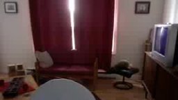 Dalis Private Show