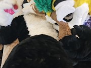 Fruity and Frisky Animals [Pineapple x Jamie]