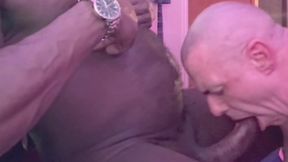 intense interracial cock sucking and nippleplay scenes