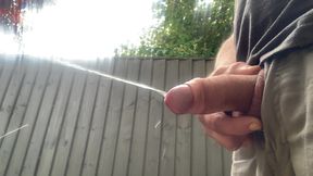 Little bit of pre cum and a piss before I wank