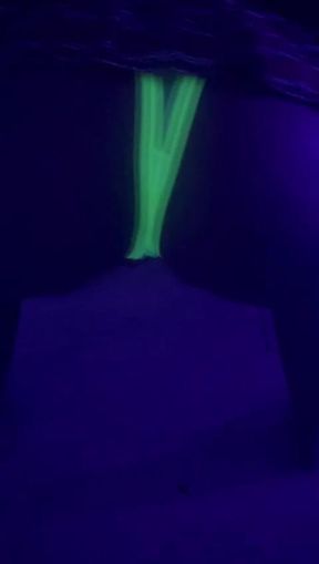 Twerking Perfect Body Short Skirt Neon Lingerie Close up MILF Hot Private