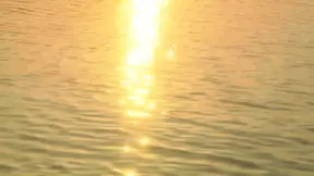 A Dream in the Realm of the Amazons &mdash;  but Only Wanking for Jane