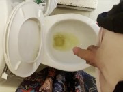 Izzy’s Pee Diary Compilation