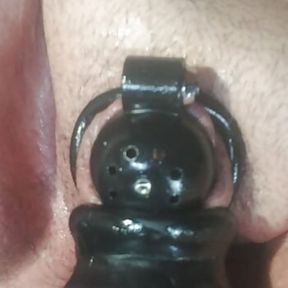 Jarmus in Chastity with buttplug then on to a dildo for some early morning play