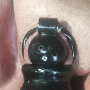 Jarmus in Chastity with buttplug then on to a dildo for some early morning play