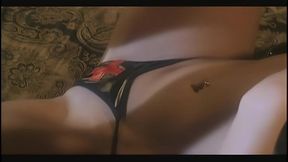 Superstar Hannah Harper Gets A Cock In Her Million Dollar Pussy