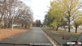 Van scene with lascivious escort from Breed Bus