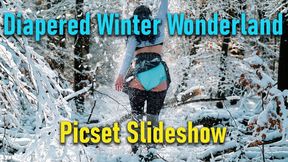 Winter Wonderland Diaper Pics