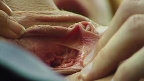 Begierde eskaliert in einer hemmungslosen Nacht ohne Reue