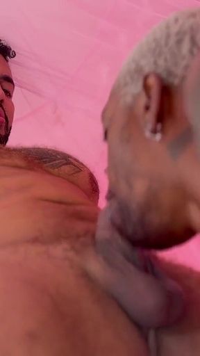 Pink Room Lovers