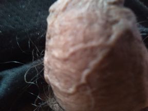 homosexual dick masturbation
