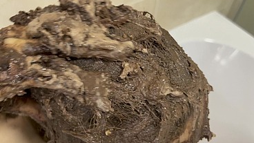 A lovely chocolate cake to Shampoo into my beautiful hair