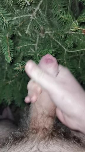 Cum in green tree