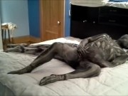 skull and bones morphsuit humps and android