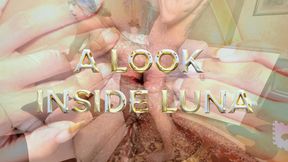 A LOOK INSIDE LUNA FINAL