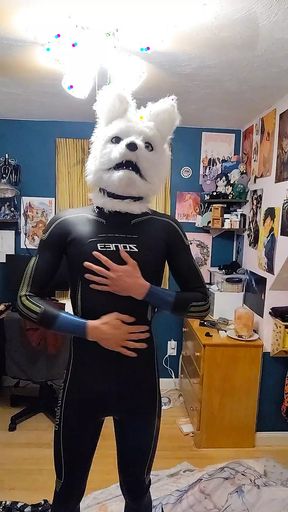 Fox Furry in Wetsuit