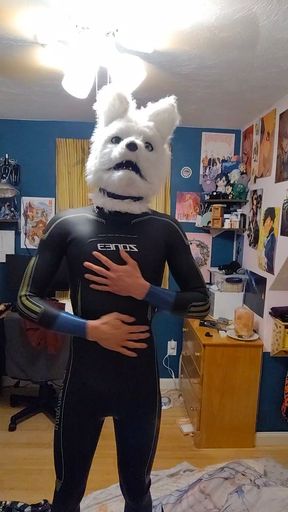 Fox Furry in Wetsuit