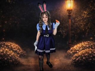 Officer's Discretion