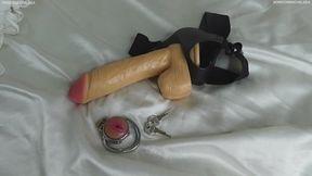 Your Sissy Beta Future