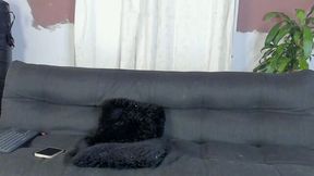 Aaron Ford Private Show