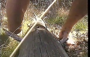 Humping a big tree trunk