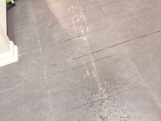 POV Yellow Morning Vigour Piddle Leaves Massive Puddle on Kitchen Floor