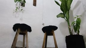 Two goddesses applying oil to the wrinkled soles of their feet while humiliating you (5)