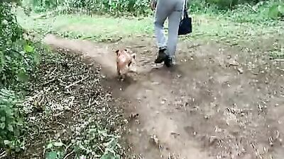 Anal on a Dog Walk